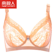 Antarctica Spring Summer Thin Cup Large Bra Spongeless Sexy Lace Adjusted Lingerie Women's Bra with 